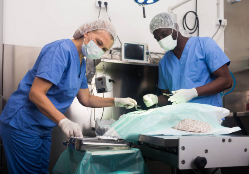Cirurgia Ortopédica para Animais Marcar Jacarepaguá - Cirurgia Emergencial para Animais