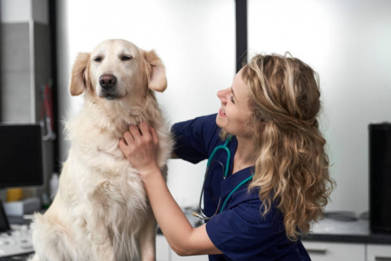 Consulta Veterinária Cachorro Vila Militar - Consulta de Oncologia para Animais