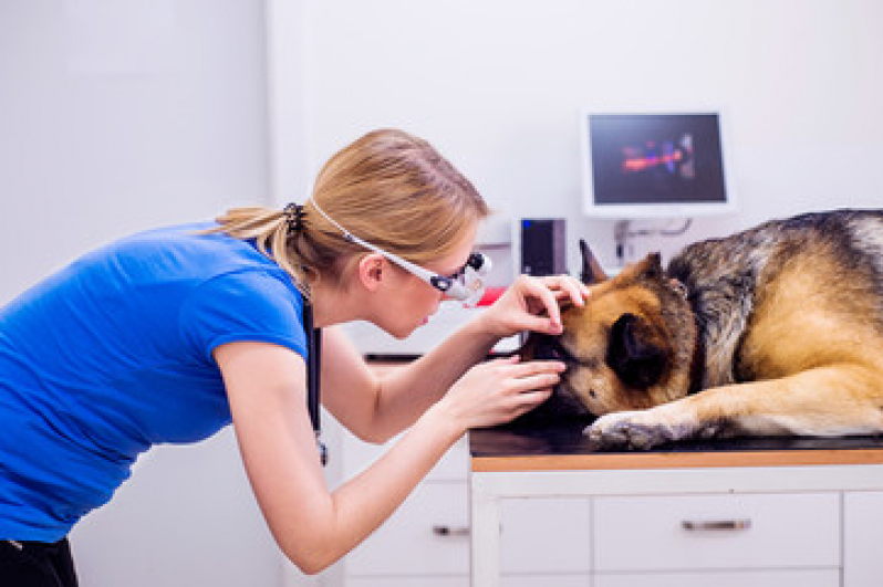 Onde Agendar Exame de Sangue para Pet Marechal Hermes - Exame de Laboratório para Animais