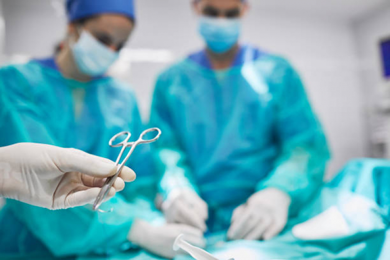 Onde Faz Cirurgia Ortopédica Veterinária Gardênia Azul - Cirurgia Emergencial para Animais