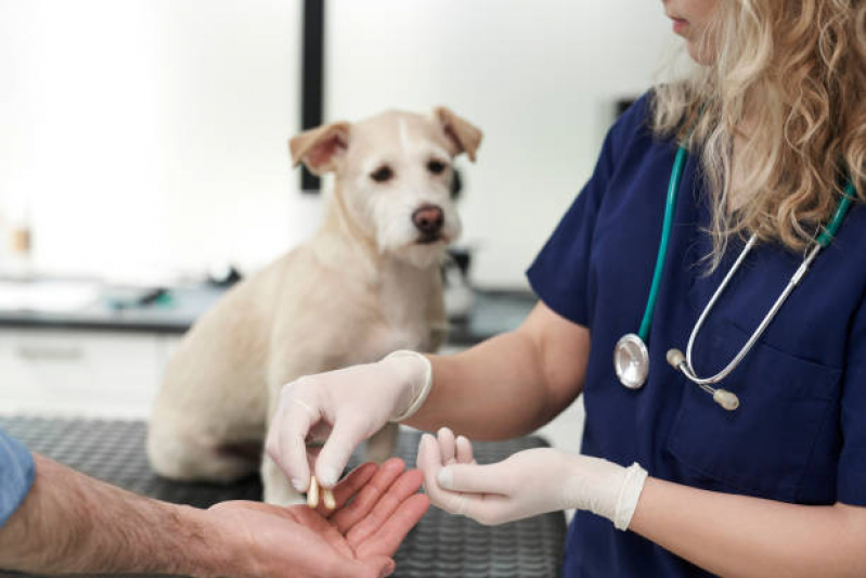 Onde Faz Consulta Ortopédica para Animais Gardênia Azul - Consulta Geriatria para Animais