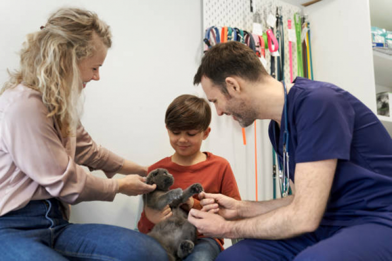 Onde Faz Consulta Veterinária Cachorro Guaratiba - Consulta Cardiológica para Animais