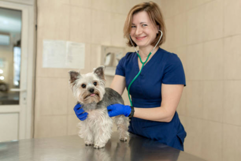 Onde Tem Cardiologista para Animais de Pequeno Porte Vila Militar - Cardiologista para Cachorro Zona Oeste