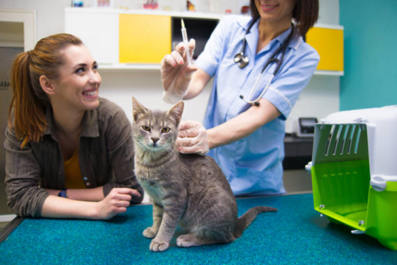 Onde Tem Vacina de Raiva Gato Marechal Hermes - Vacina de Raiva para Gatos