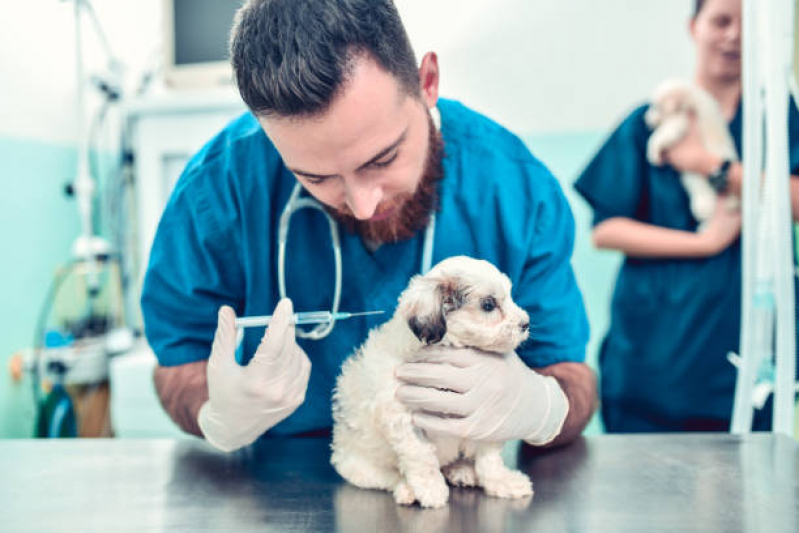 Onde Tem Vacina de Raiva para Cachorro Joá, Magalhães Bastos - Vacina contra Raiva para Cachorro