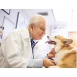 cardiologista de cães e gatos agendar Guaratiba