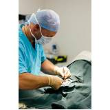 cirurgia ortopédica para animais agendar Bangu