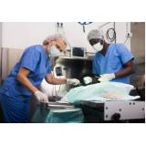 cirurgia ortopédica para animais marcar Bangu