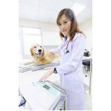 clínica com atendimento veterinário Bangu
