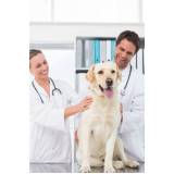clínica veterinária popular contato Guaratiba