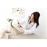 consulta ortopédica para animais clínica Camorim