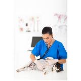 consulta veterinária para animais clínica Gardênia Azul