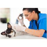 consulta veterinária para animais Vila Militar