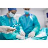 onde faz cirurgia ortopédica veterinária Gardênia Azul
