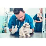 onde tem vacina antirrábica para cães Marechal Hermes