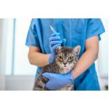 onde tem vacina de raiva para gatos Vila Valqueire