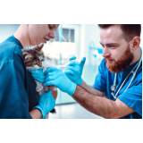 vacina de raiva para gatos agendar Gardênia Azul